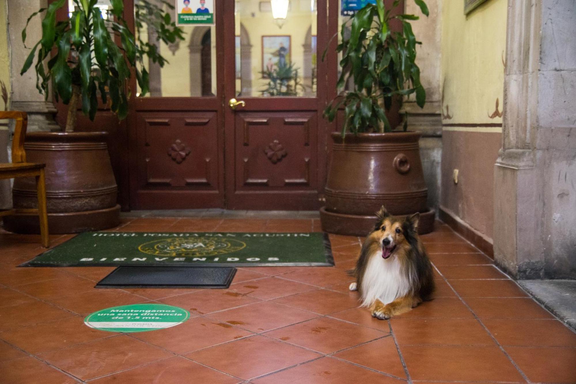 Hotel Posada San Agustin ดูรังโก ภายนอก รูปภาพ