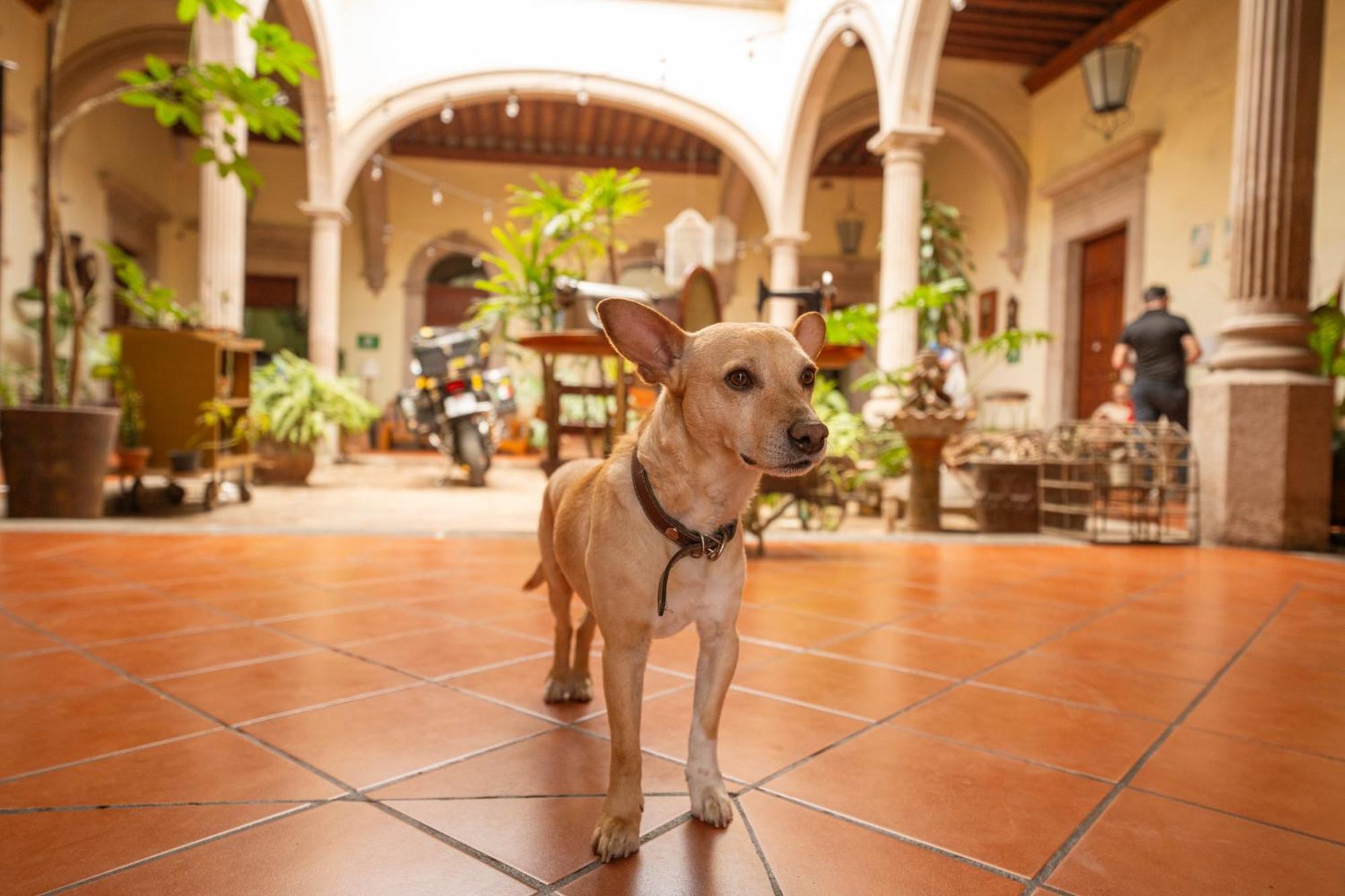 Hotel Posada San Agustin ดูรังโก ภายนอก รูปภาพ